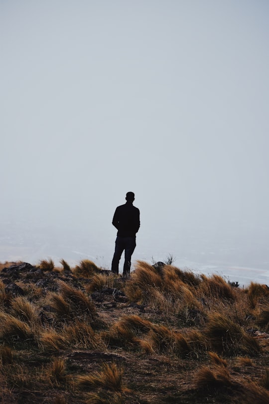 person in black jacket standing on brown grass field during daytime in Christchurch New Zealand