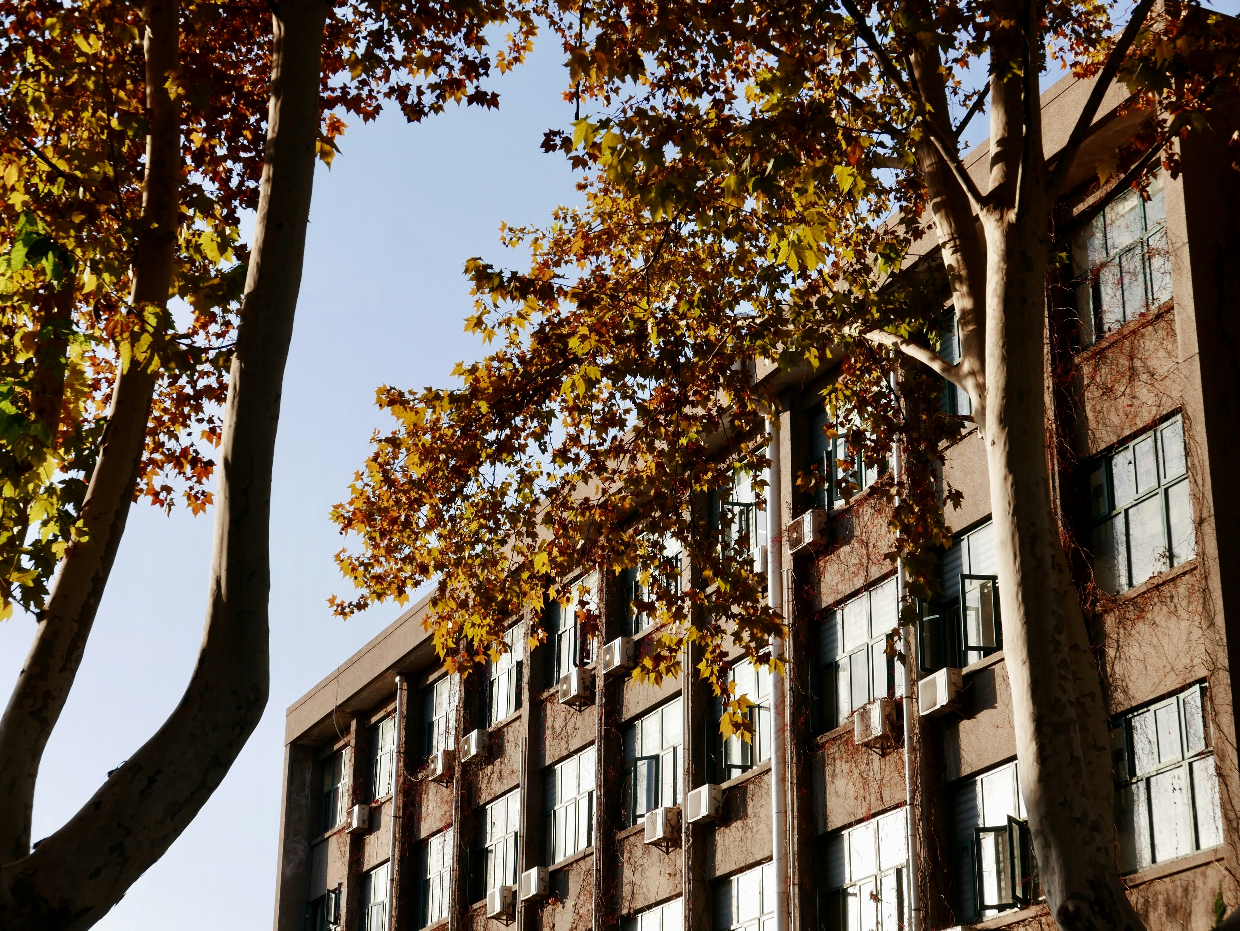 Photo by frozenmilkytea