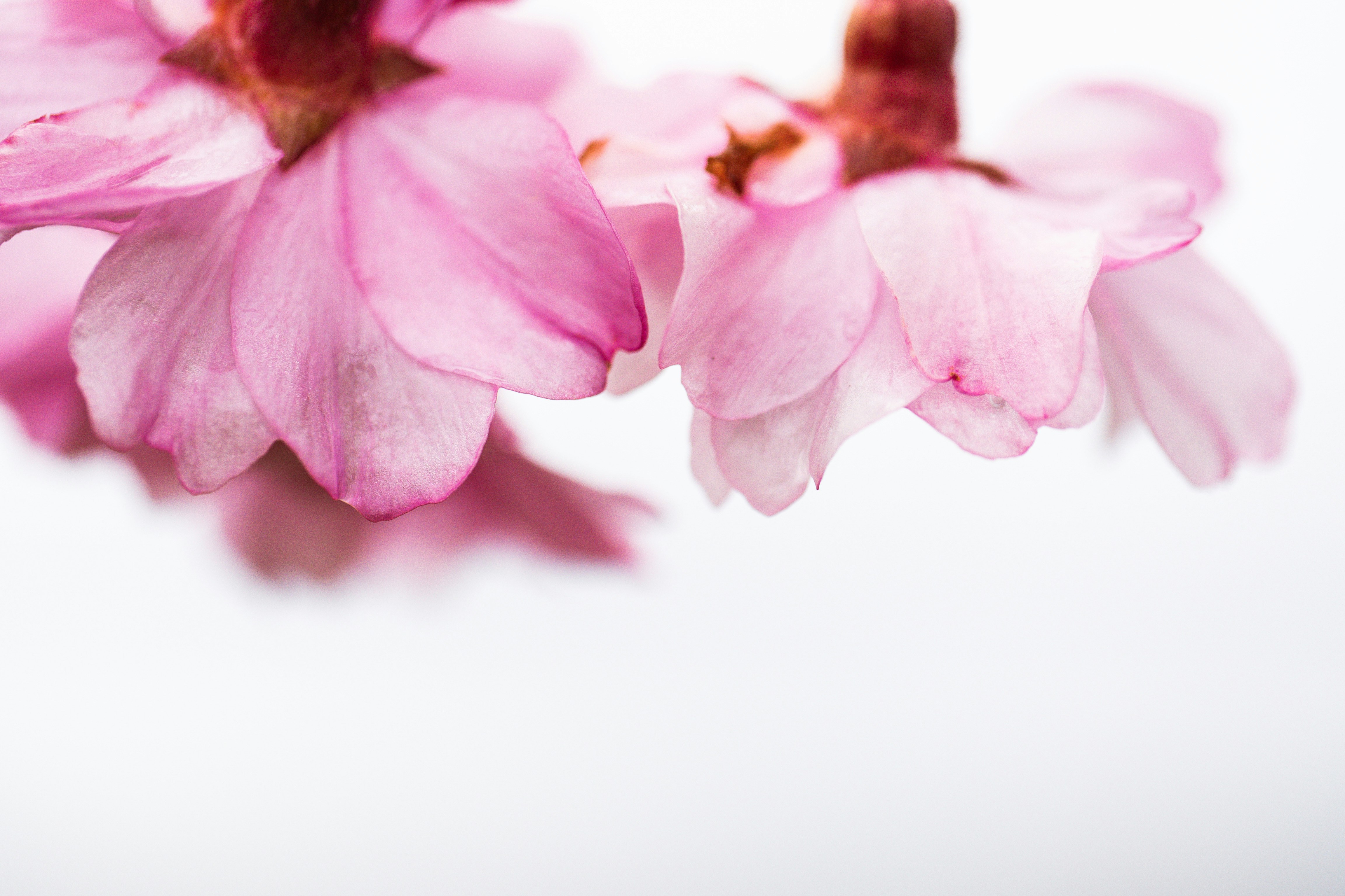 Photo by thepaintedsquarejessica