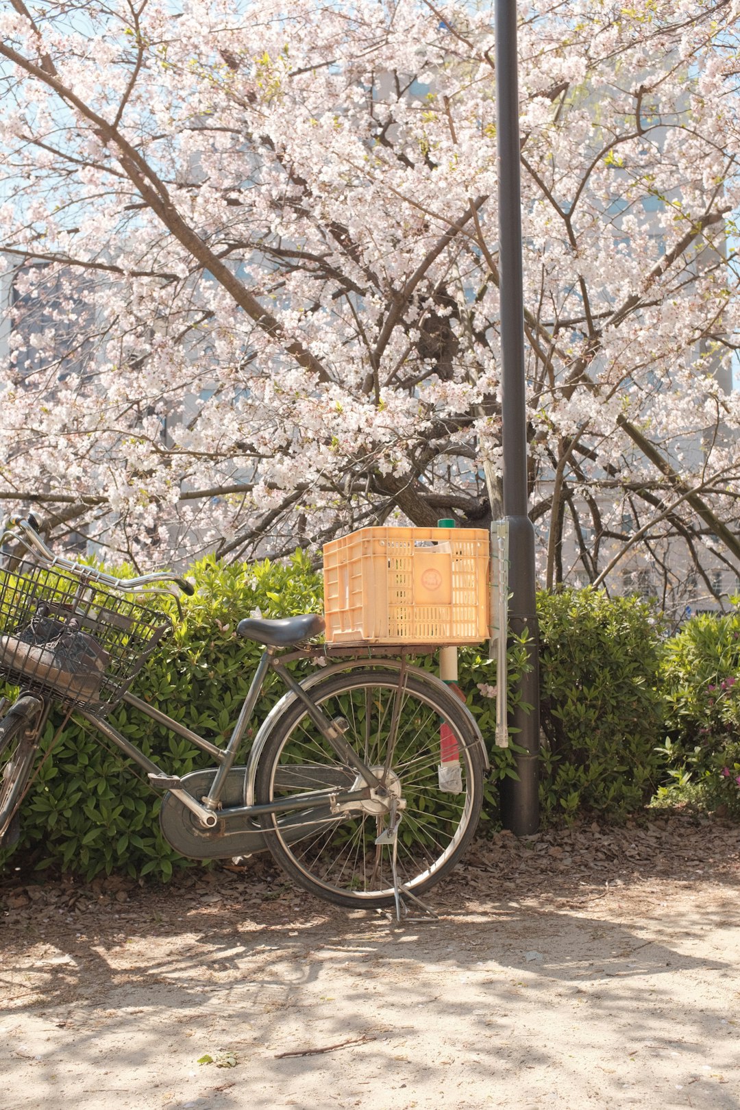 black city bike with brown wooden crate