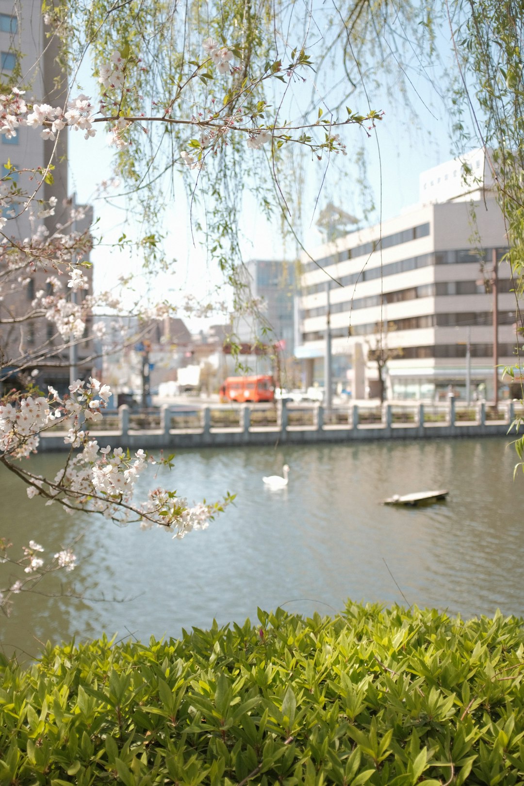 body of water near buildings during daytime