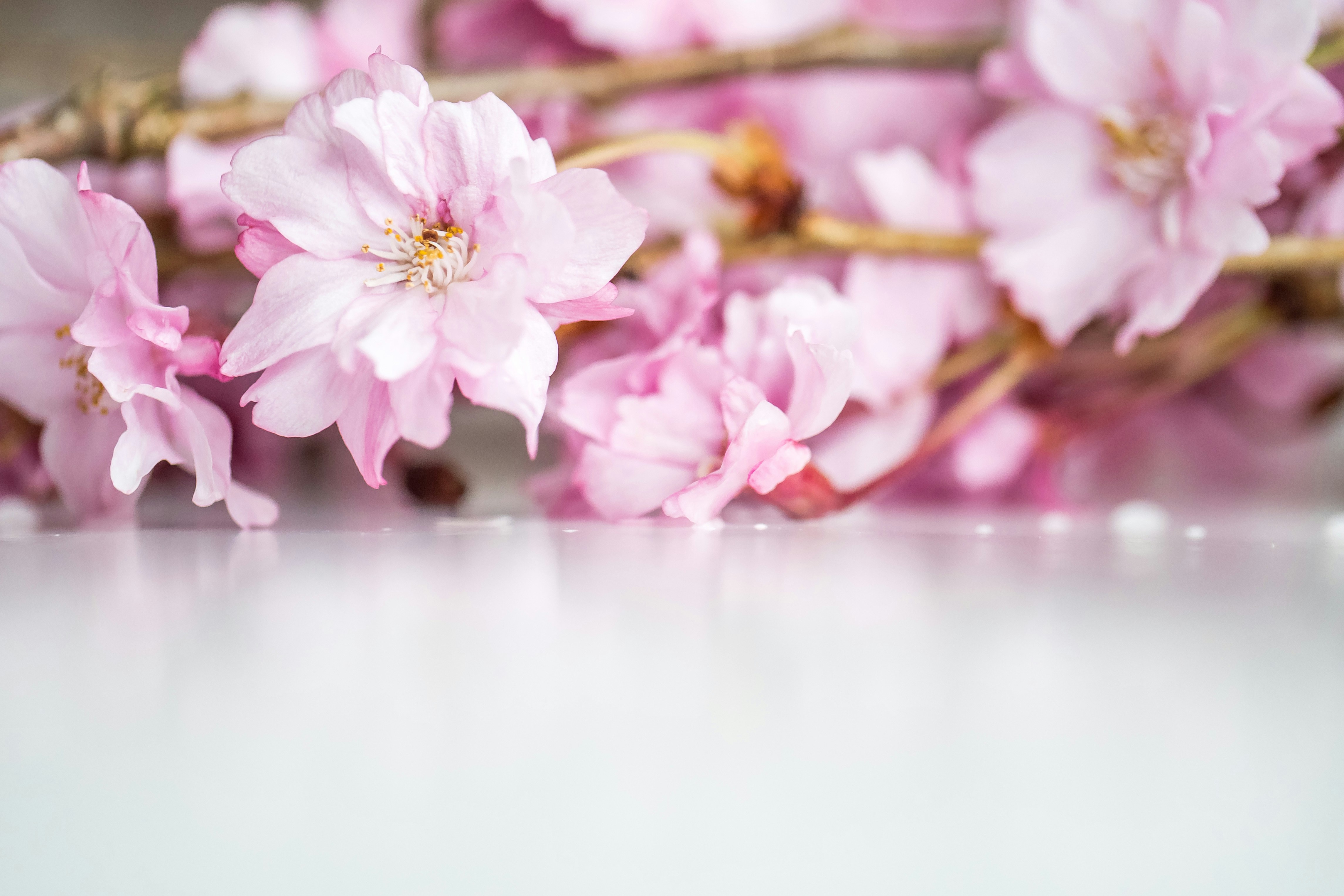 Photo by thepaintedsquarejessica