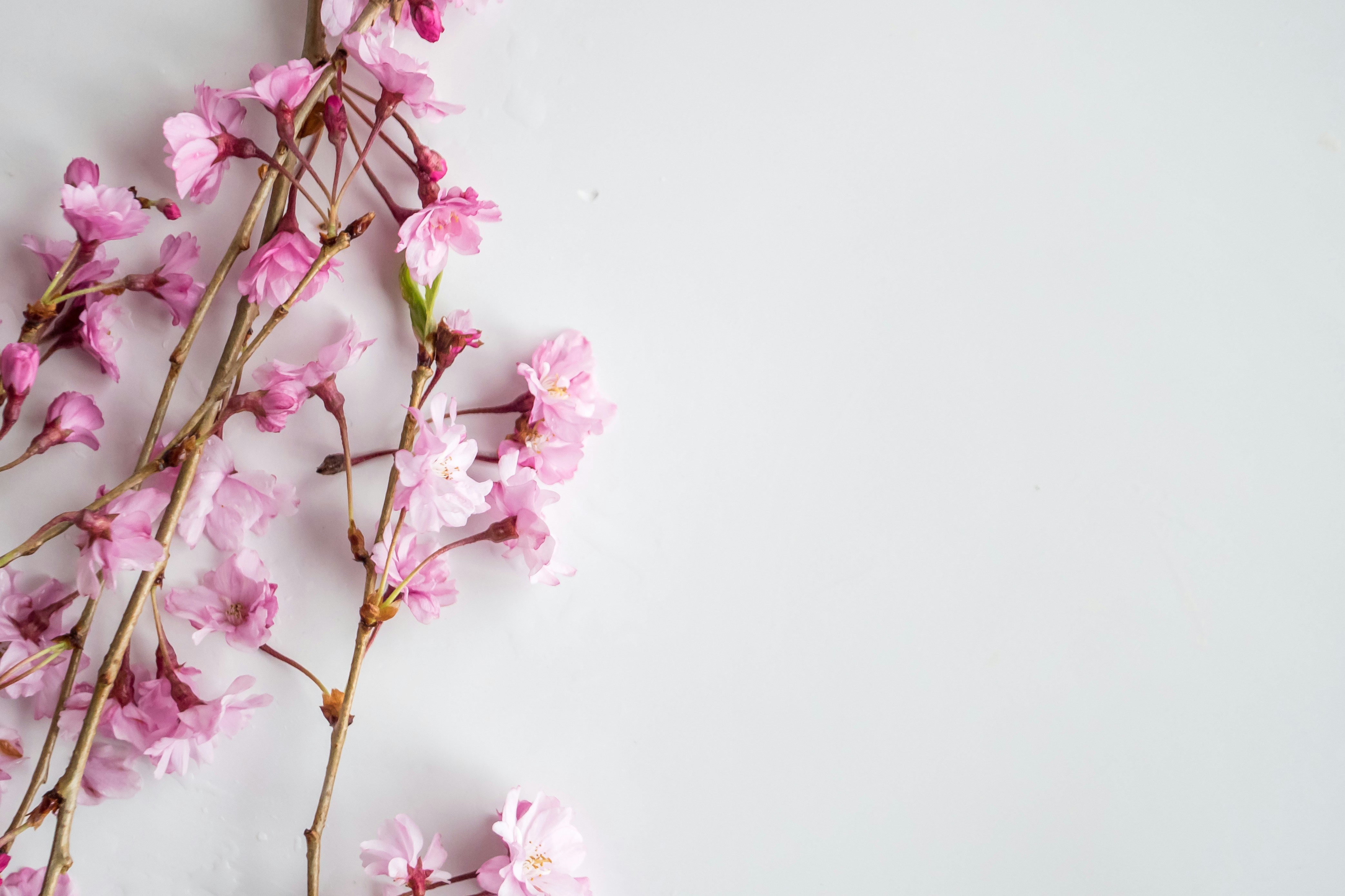 Photo by thepaintedsquarejessica