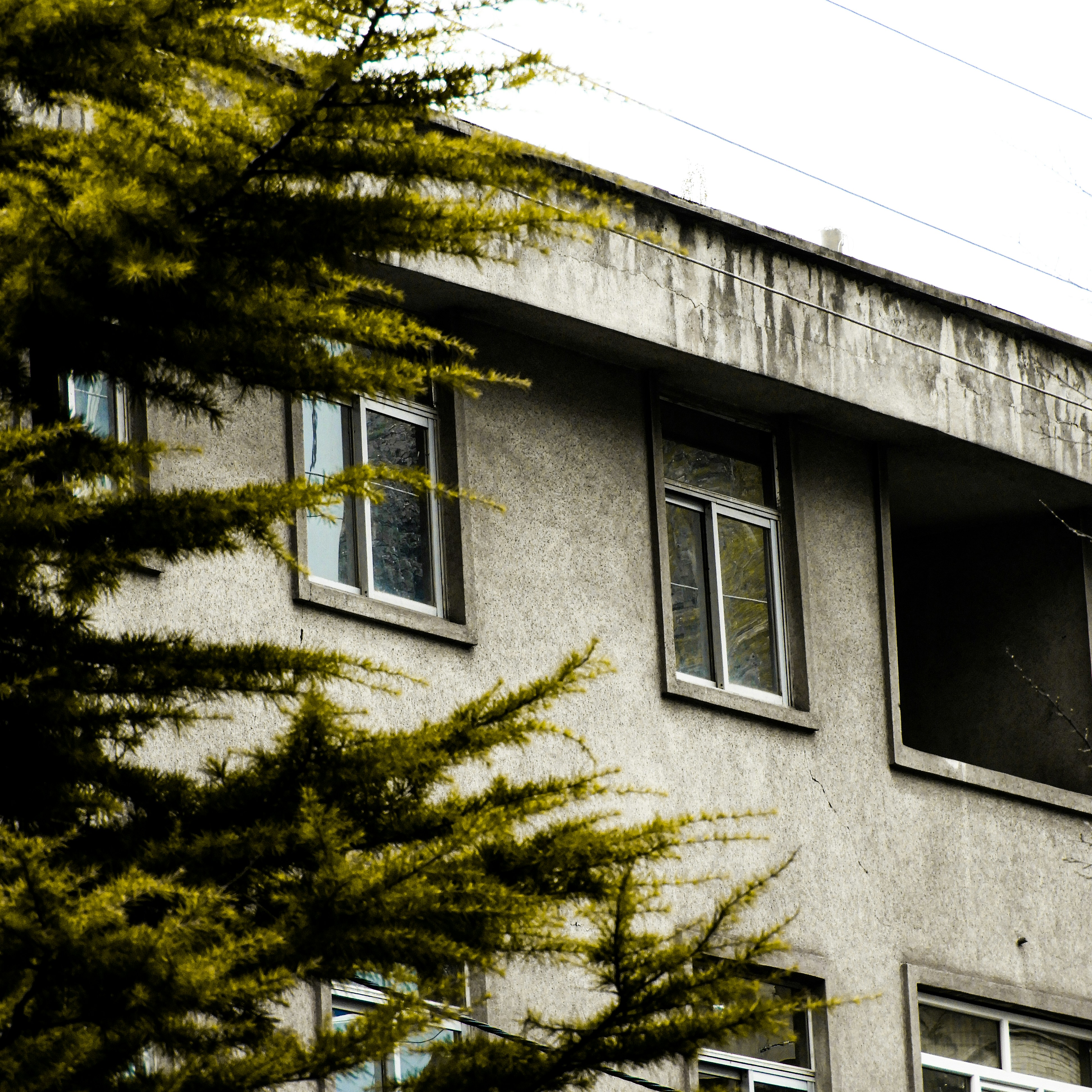 Photo by sepehr_algh