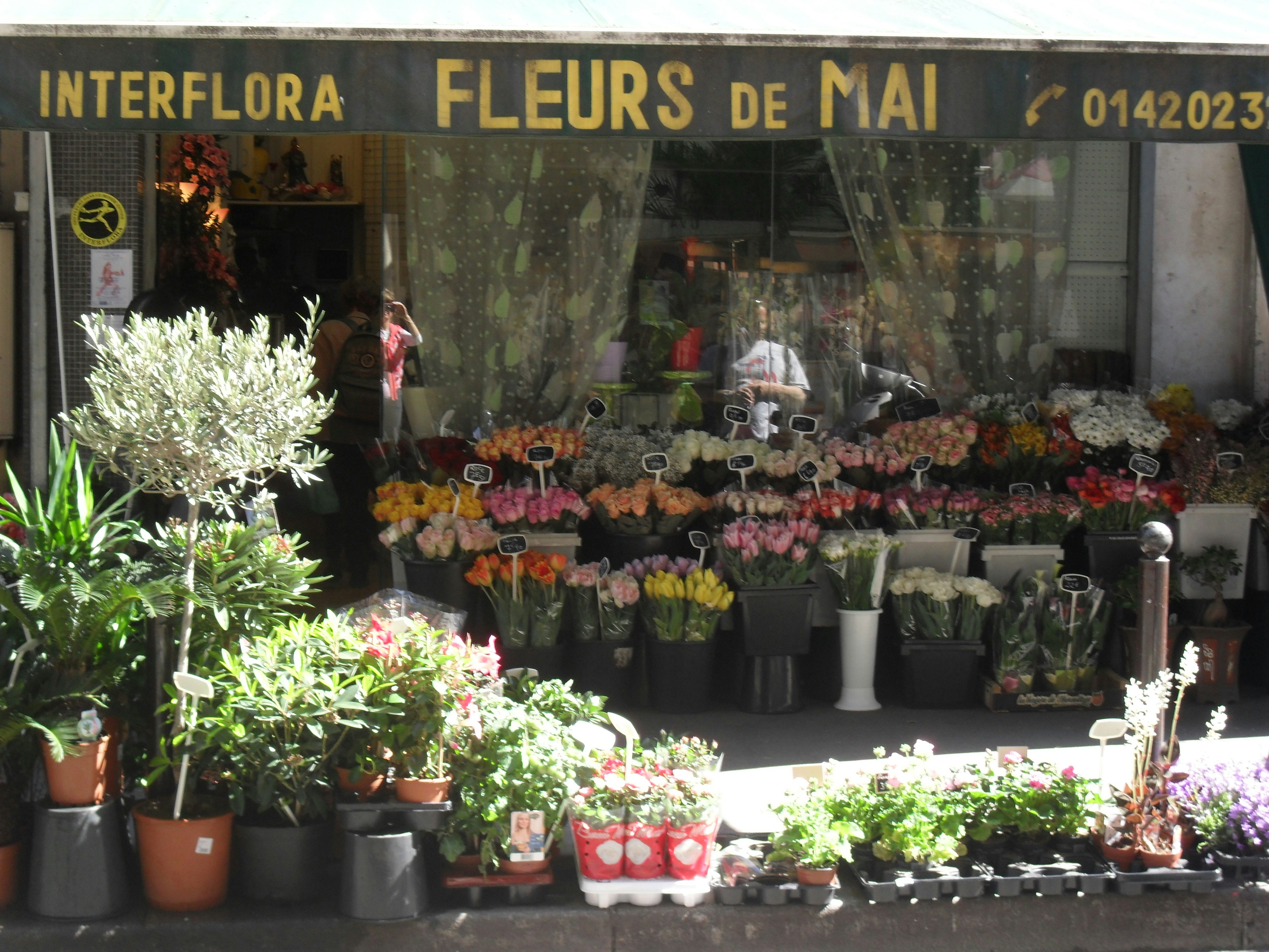 Paris Flower Shop