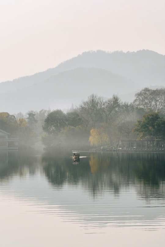 green trees beside river during daytime in Hangzhou China