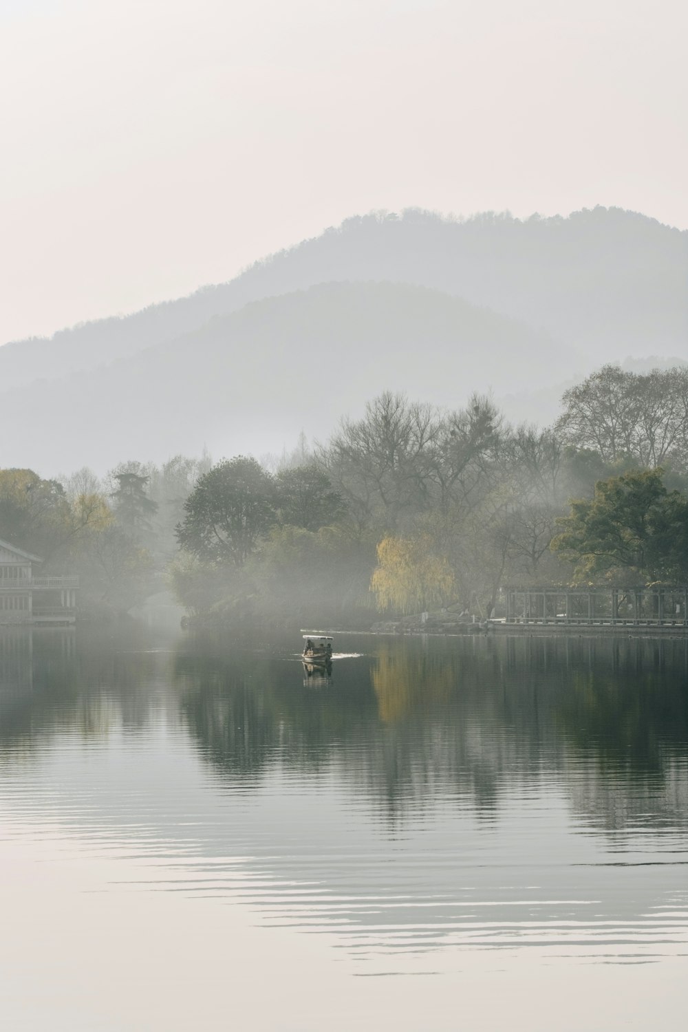 Grüne Bäume am Fluss während des Tages