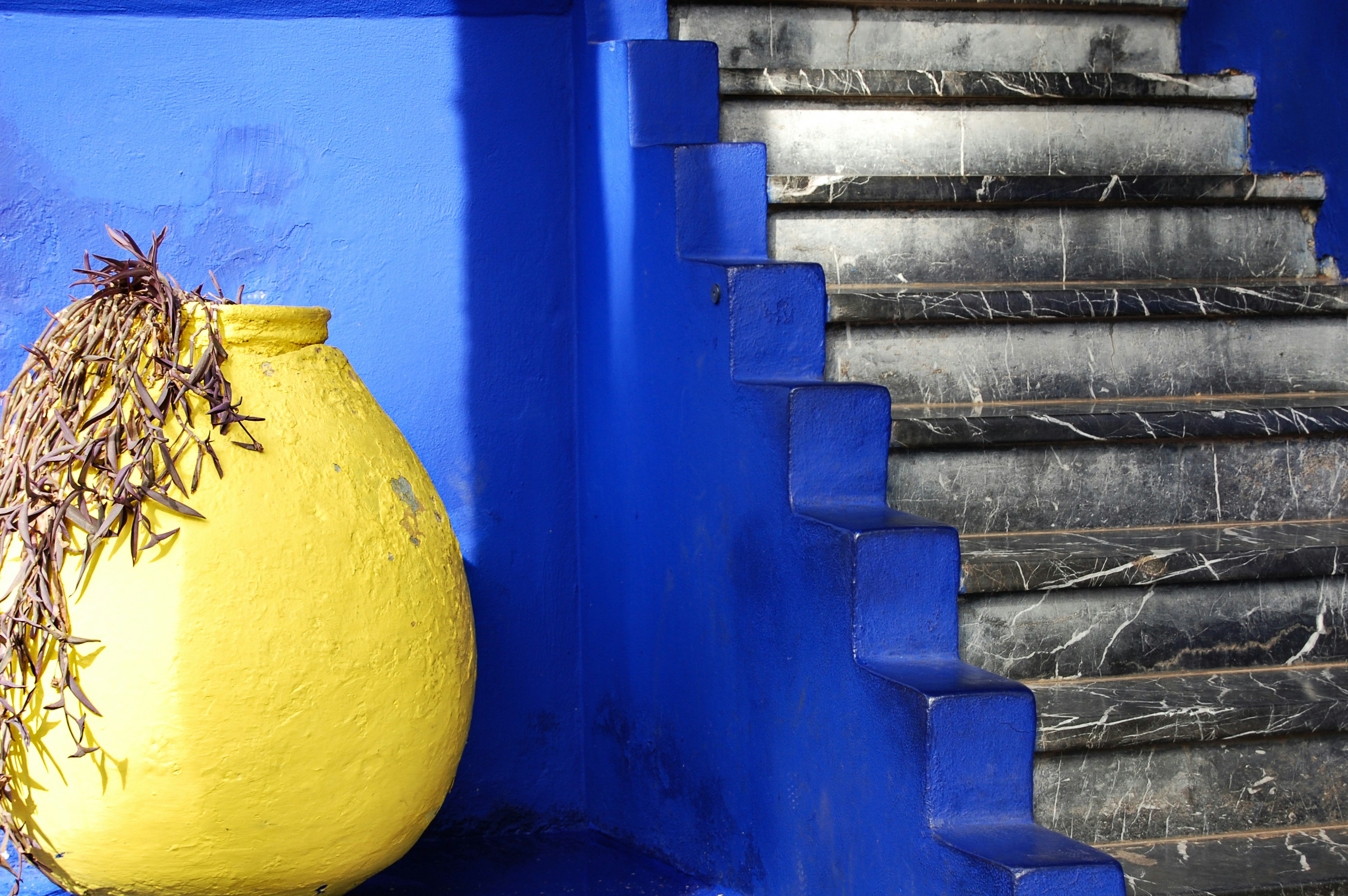 yellow fruit on blue concrete staircase, Musée Yves Saint Laurent