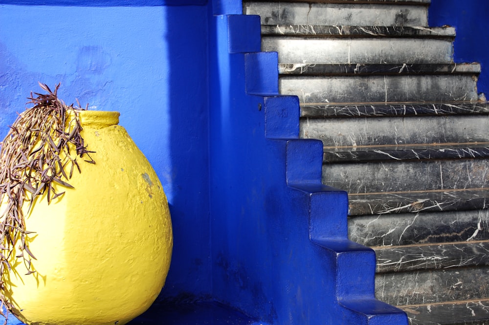yellow fruit on blue concrete staircase