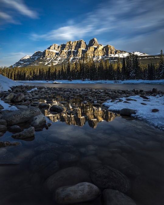Castle Mountain things to do in Banff