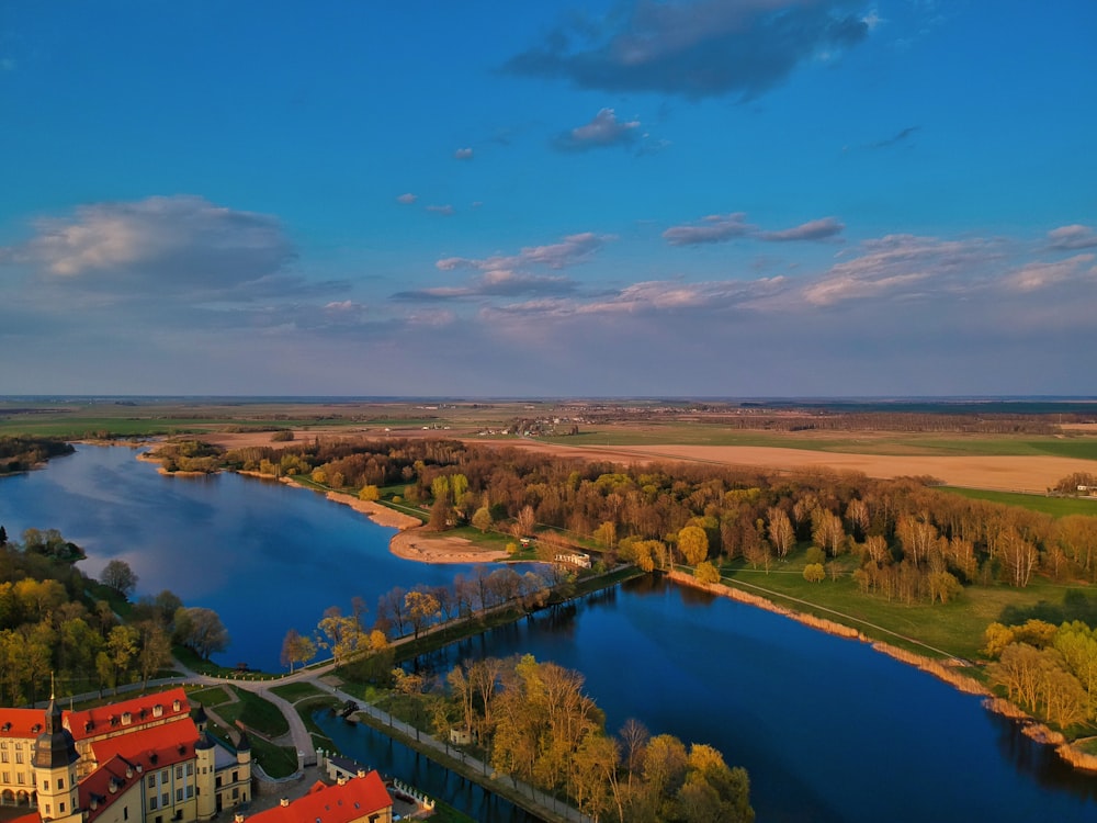 aerial view of green trees and brown field during daytime