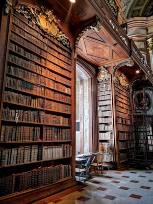 A grand and ornate historical library with richly carved wooden bookshelves filled with an extensive collection of old, leather-bound books. There are intricate decorations with gold detailing at the top of the shelves. A wooden ladder leans against one shelf, and a reading table with a chair and some small items is positioned near a large window, allowing natural light to filter in, creating an atmosphere of scholarly elegance.