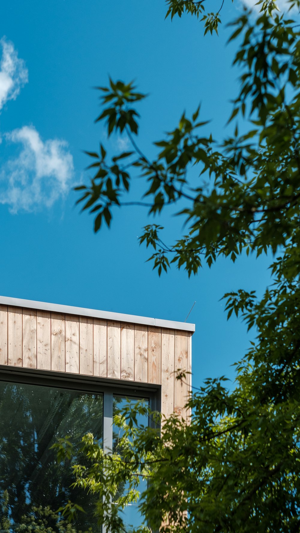 brown wooden house near green tree under blue sky during daytime