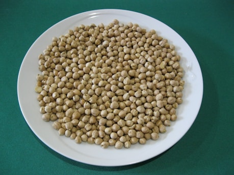 A white plate filled with a large quantity of dry chickpeas rests on a green surface. The chickpeas are uniformly arranged and appear uncooked.