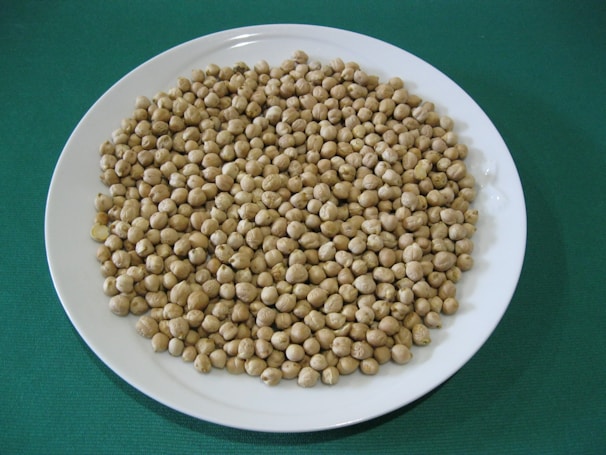 A white plate filled with a large quantity of dry chickpeas rests on a green surface. The chickpeas are uniformly arranged and appear uncooked.