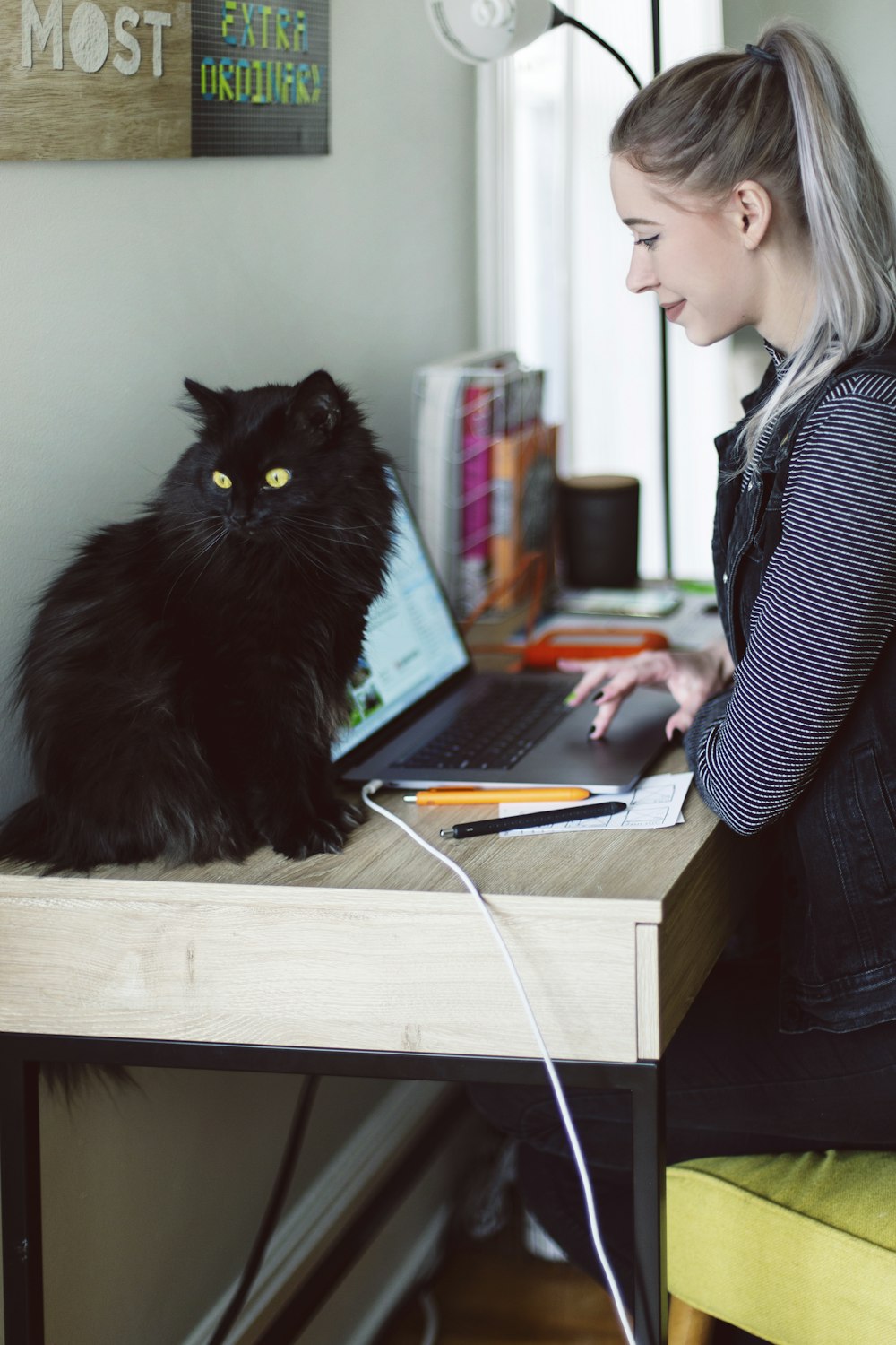 black cat on brown wooden table