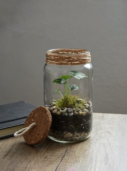 A glass jar contains a small plant growing in layers of soil, moss, and pebbles, creating a miniature terrarium. The jar is topped with a decorative woven material and has a cork lid with a rope handle resting beside it. This setup is placed on a wooden surface, and a closed black notebook is partially visible in the background.