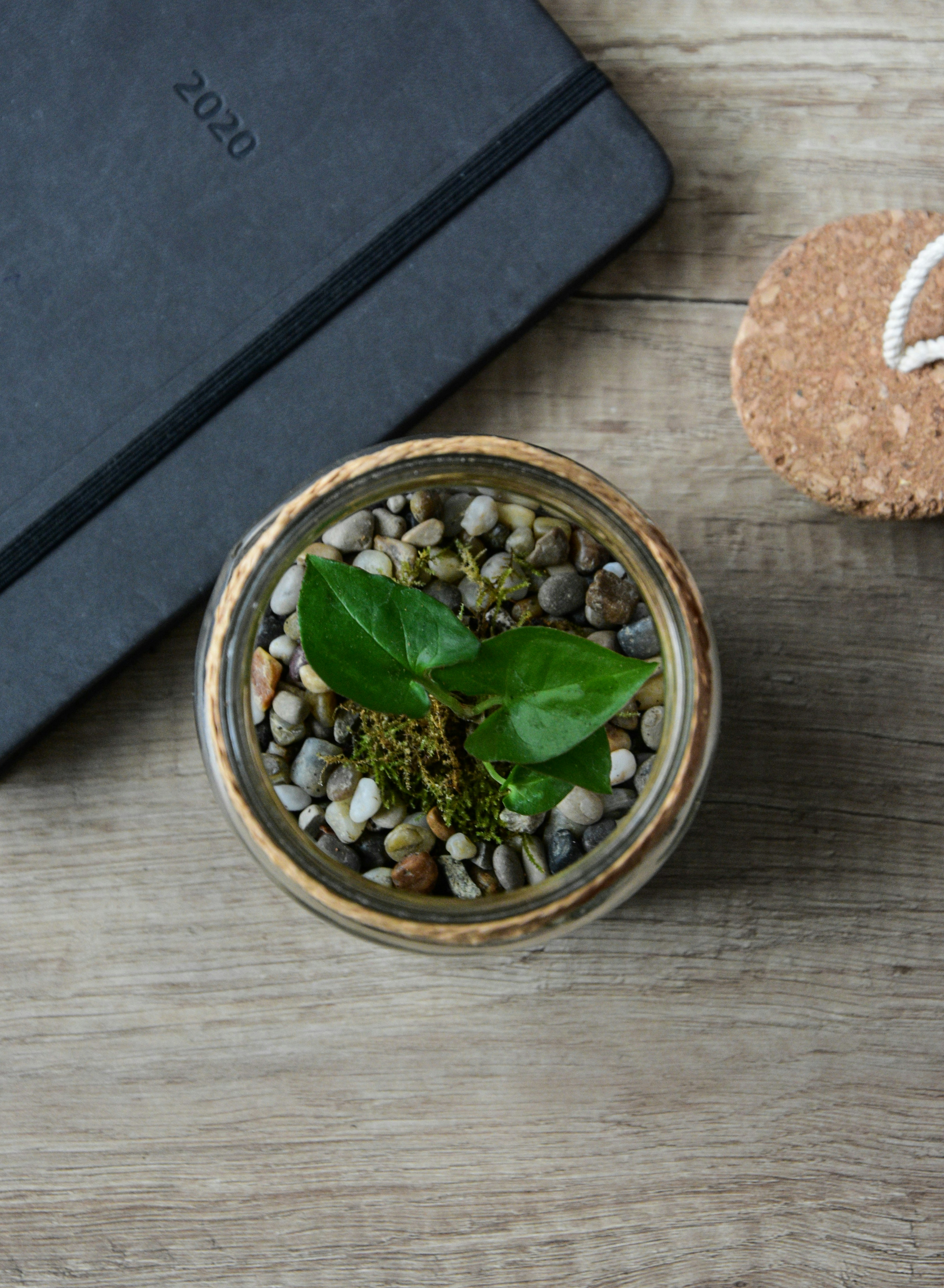 Minimal wooden desk with only a single notebook, pen, and small plant visible