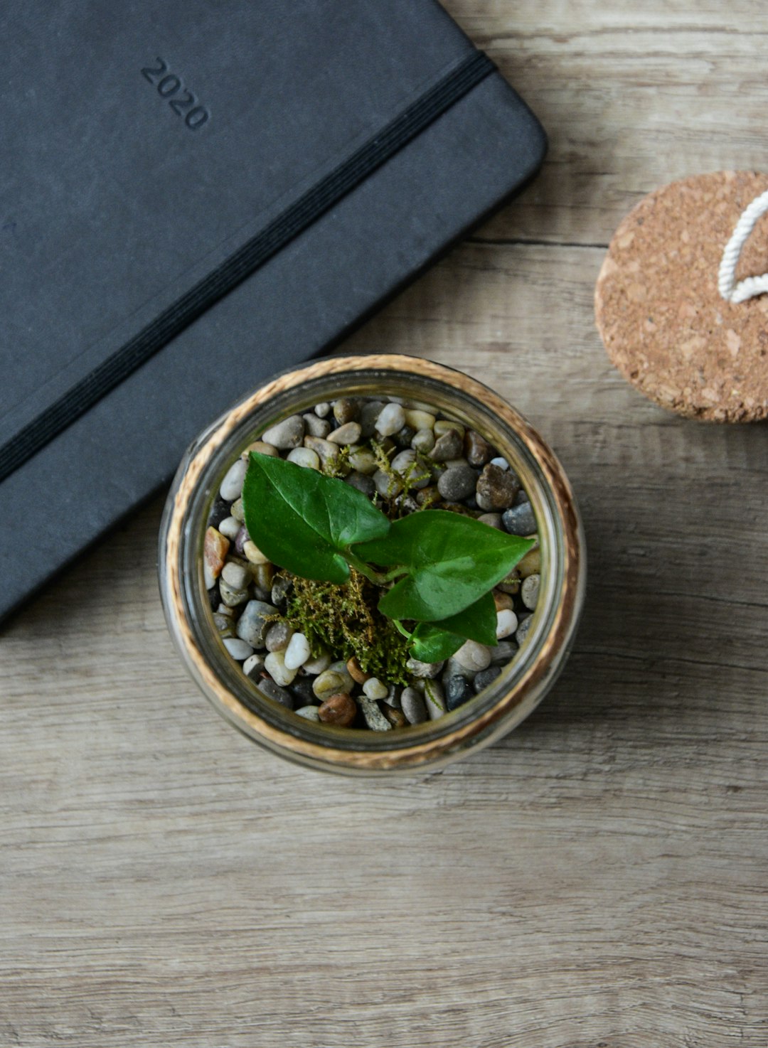 green plant on brown round pot