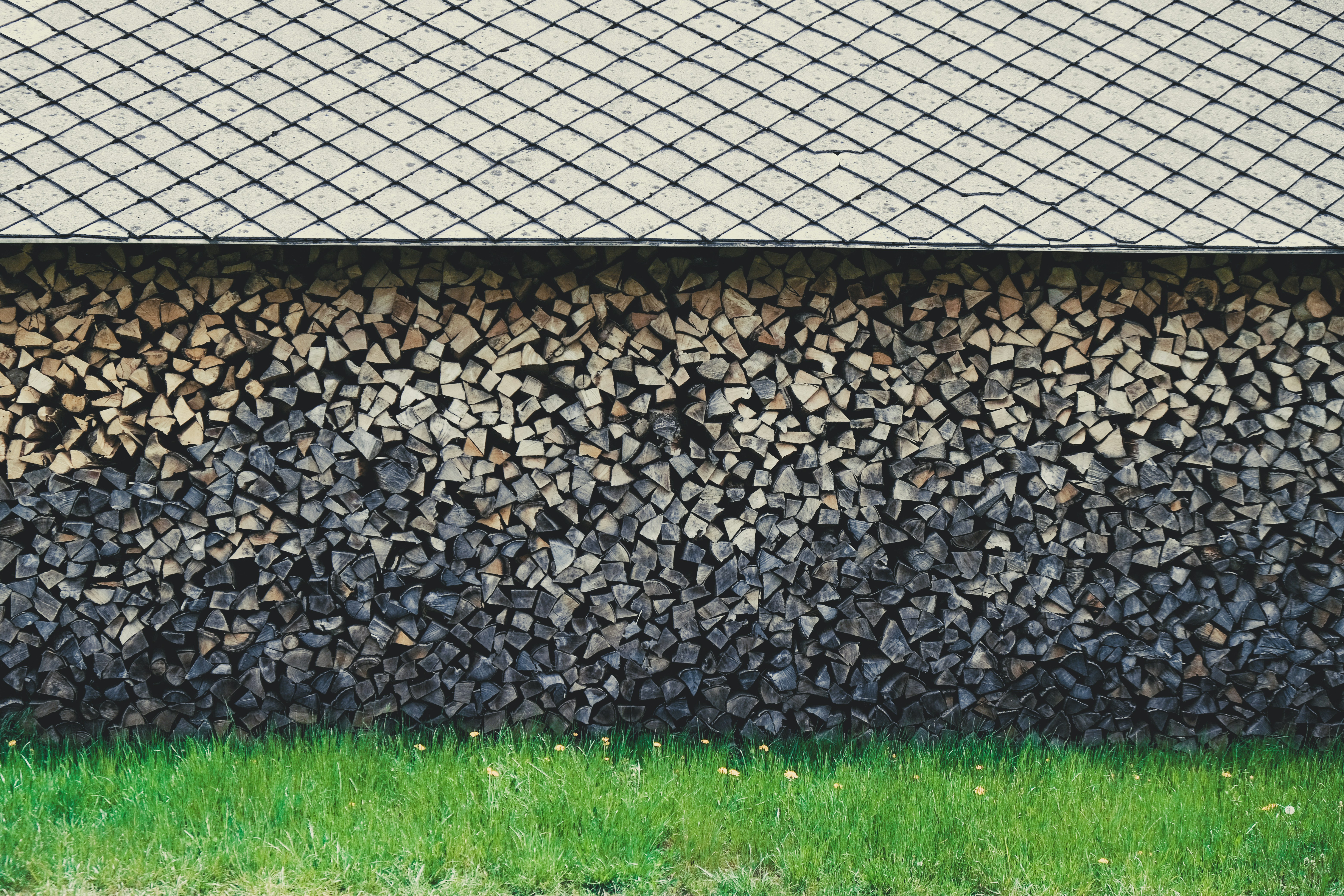 photo 1588348107125 f4d11ee820c2?crop=entropy&cs=tinysrgb&fit=max&fm=jpg&ixid=M3w1MjQ0NjR8MHwxfHNlYXJjaHw4fHxQZXN0JTIwQ29udHJvbCUyMFNlcnZpY2UlMjBCZWF2ZXJjcmVlayUyME9oaW98ZW58MHwwfHx8MTc2MDMxODUyNnww&ixlib=rb 4.1