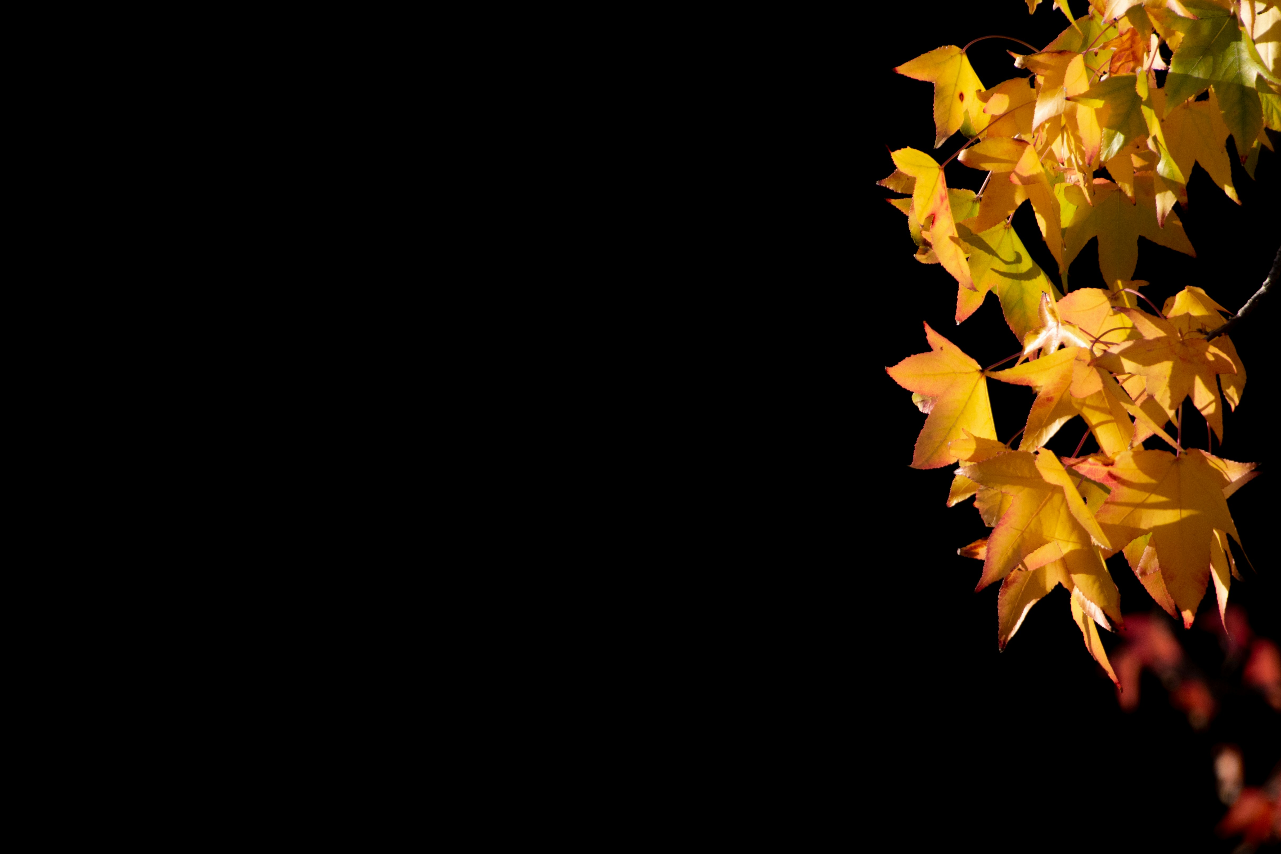 Photo by sergiogmoreno