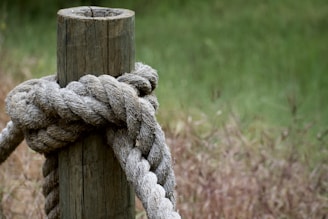 A thick rope is tightly wrapped around a wooden post, creating a large knot. The post has a weathered appearance, and the background features a blurred grassy area with hints of brown and green.