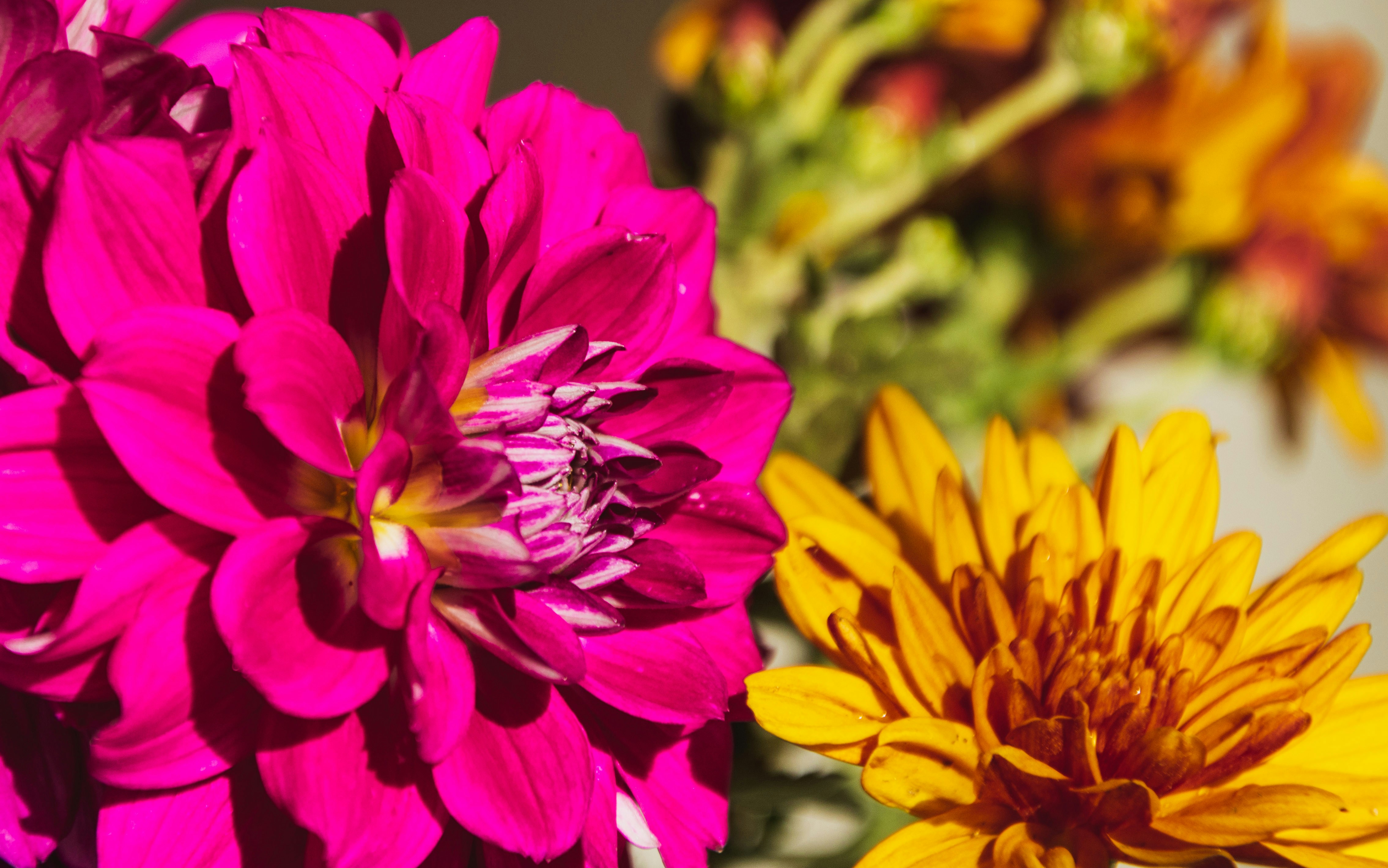 Photo by gabryelshots_