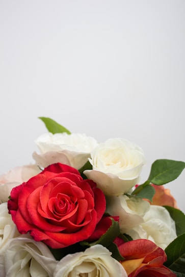 A serene bouquet of deep green foliage with subtle rose red blooms against a clean white background.