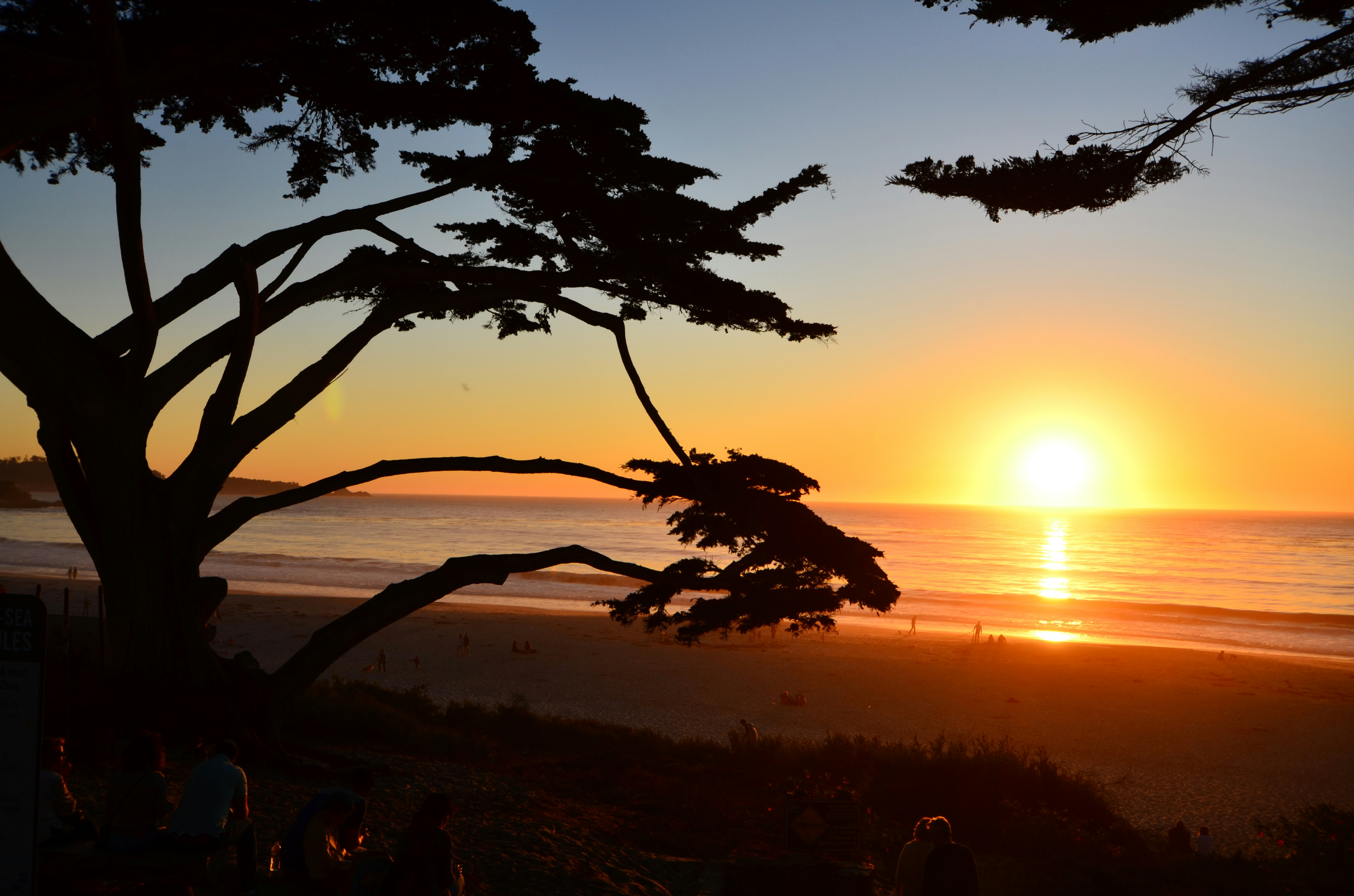 Photo by knowledgeispower