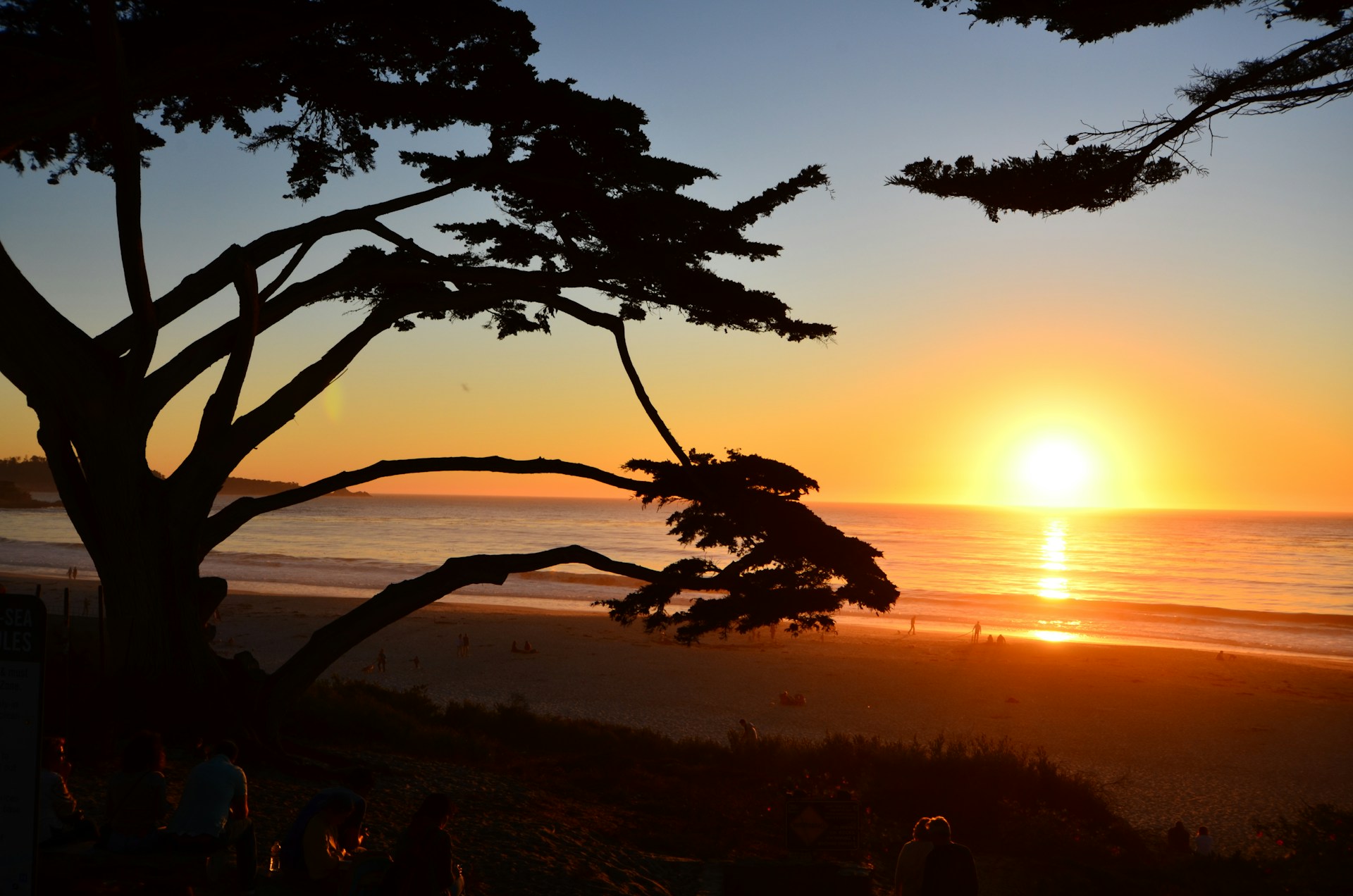 silhouette of people on beach during sunset