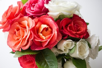 A vibrant bouquet of premium Ecuadorian roses.