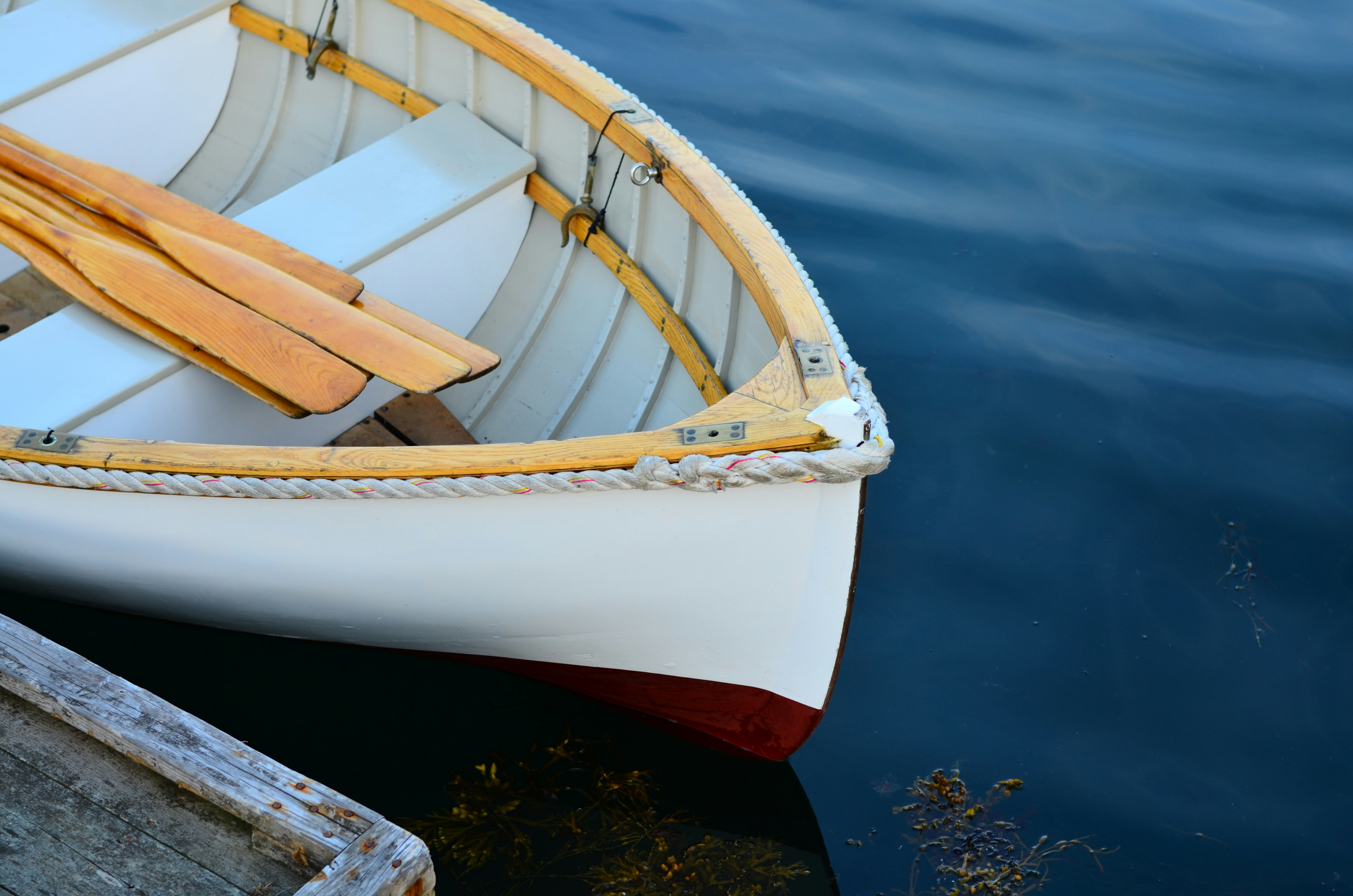 Photo by knowledgeispower