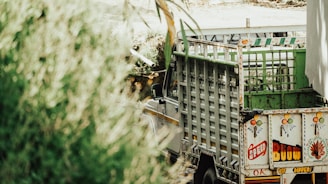 Workers installing colorful vehicle wraps on trucks outside an industrial makeup plant in Sinaloa.