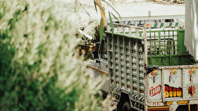 A team applying a bold vehicle wrap to a contractor’s truck outdoors.
