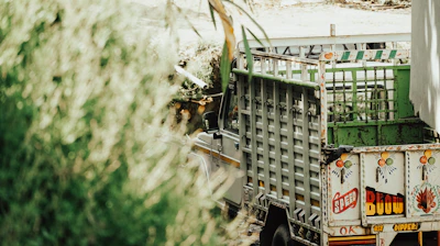 Close-up of a colorful truck wrap showcasing a creative ad design in Constanța.
