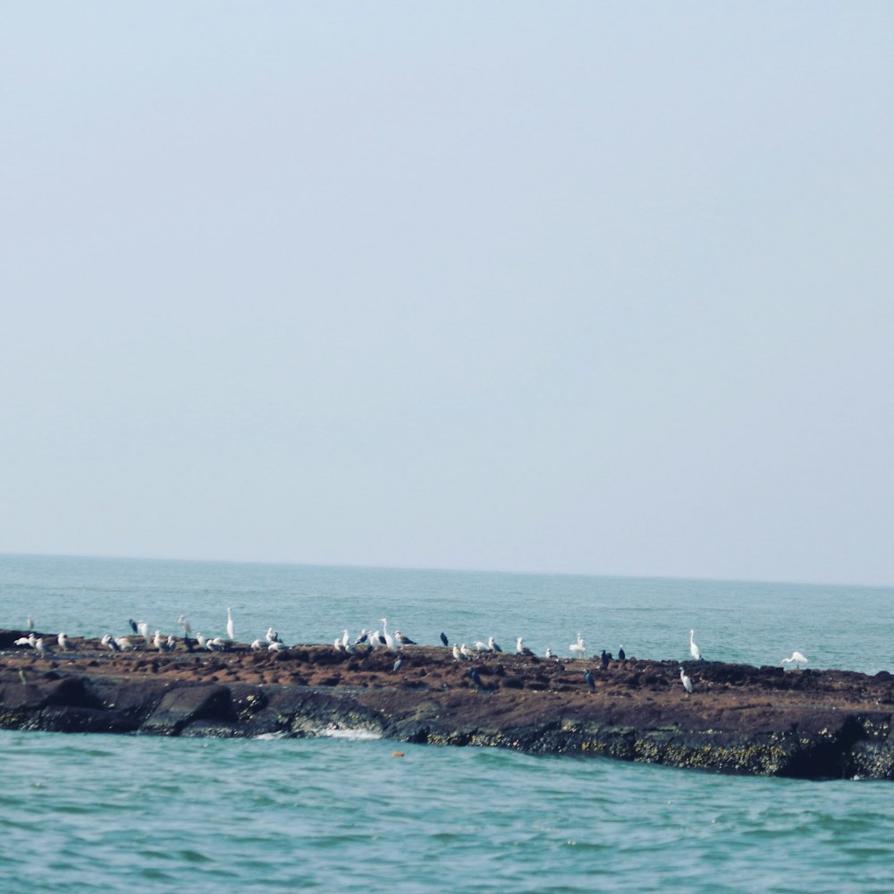 brown rock formation on sea under white sky during daytime