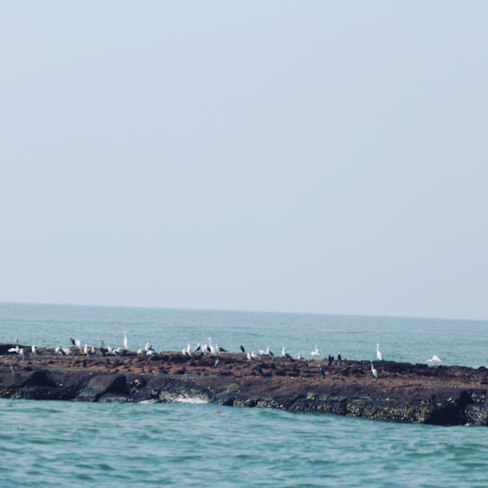 brown rock formation on sea under white sky during daytime in Dapoli India