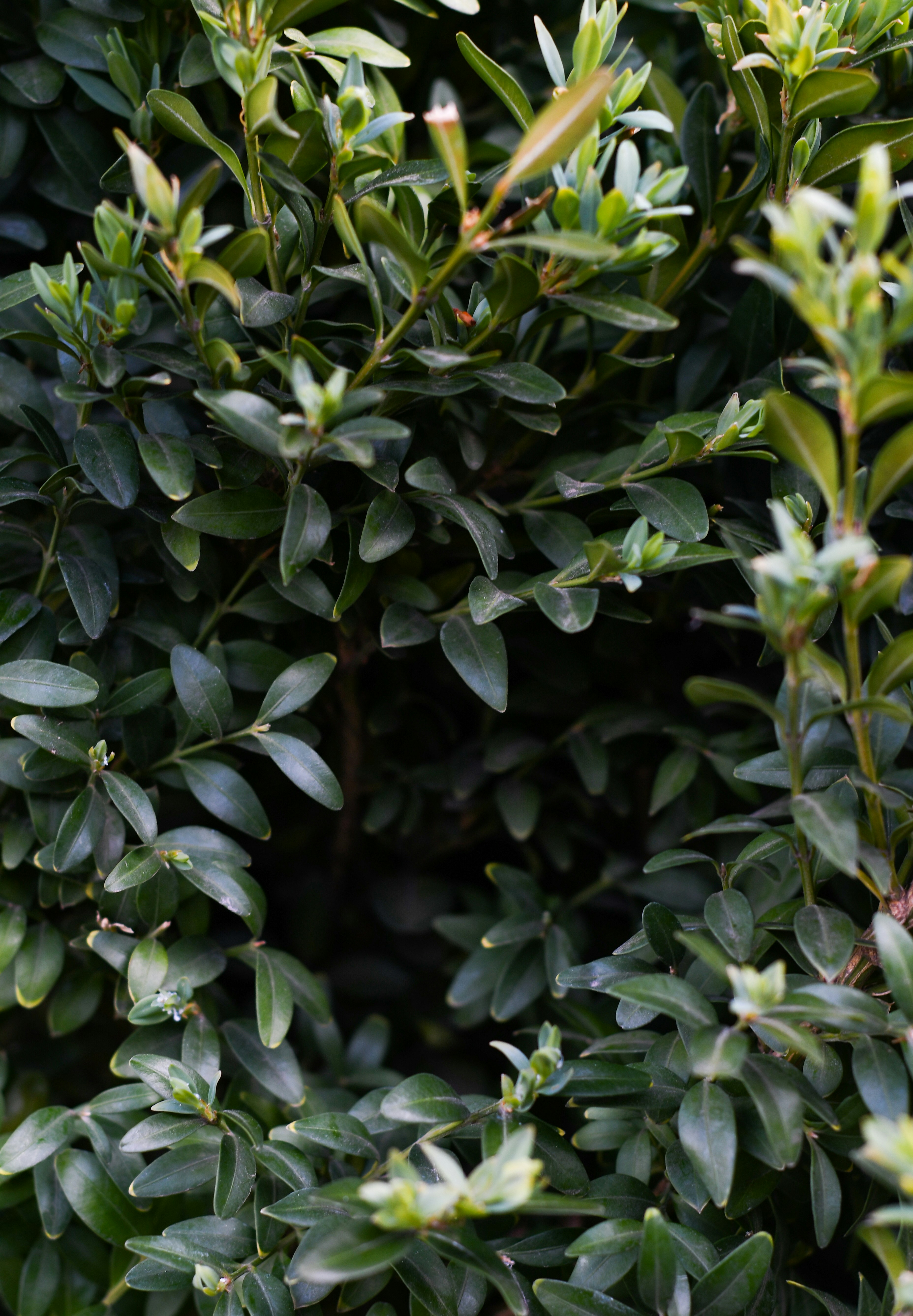 Photo by raspopovamarisha