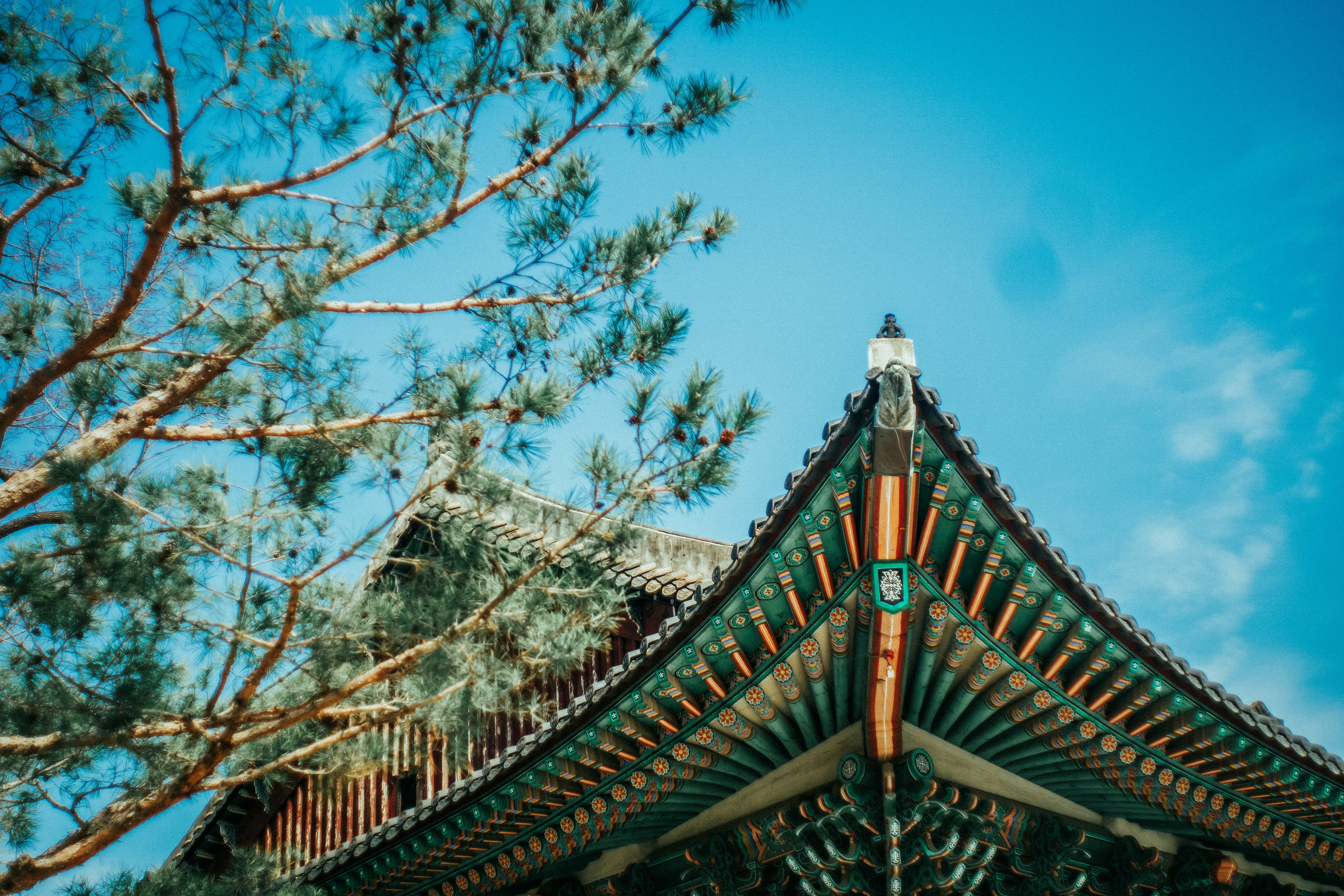 Photo by thomasrogerlux