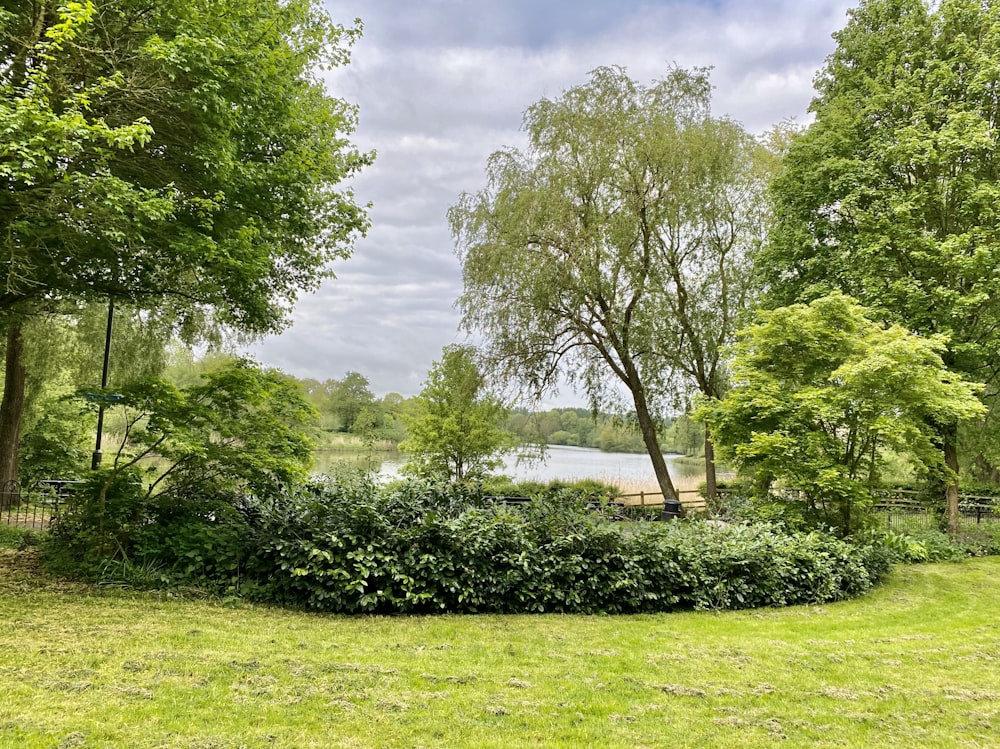 green grass field with green trees under white clouds and blue sky during daytime