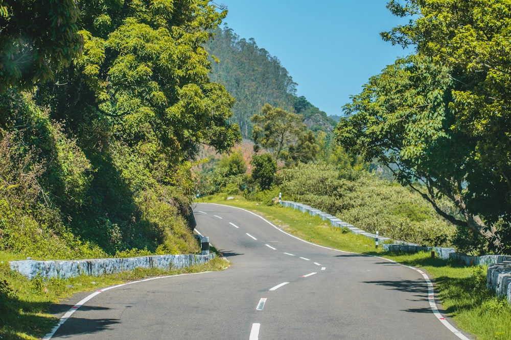 Camino de concreto gris entre árboles verdes bajo el cielo azul durante el día