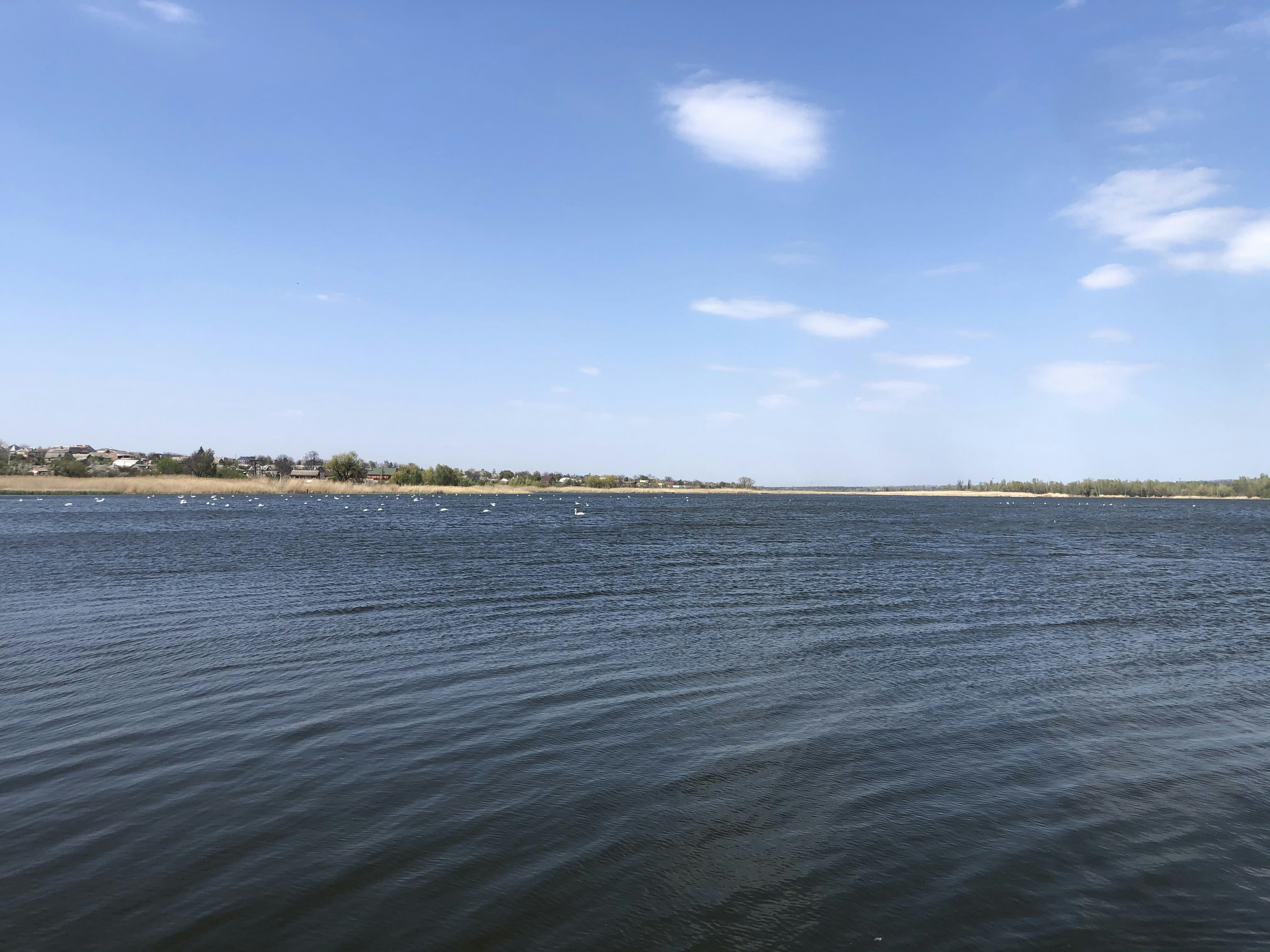 Lake Kariba, Zambia - Ingul 