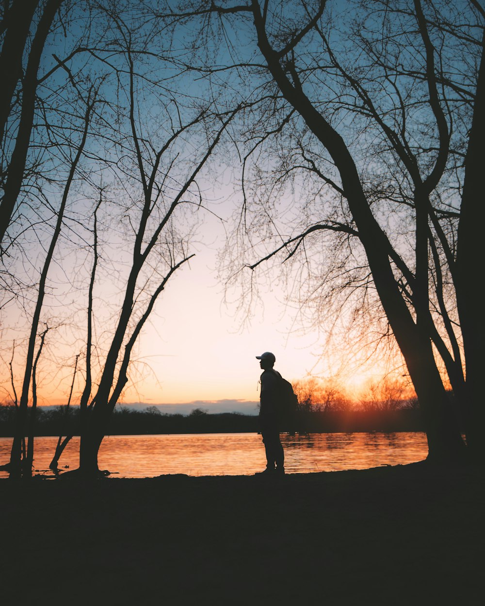 silhouette of man standing near bare trees during sunset