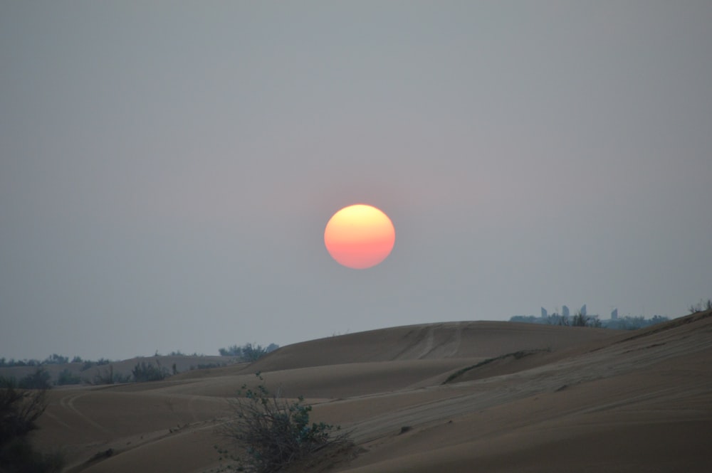 brown sand field during sunset