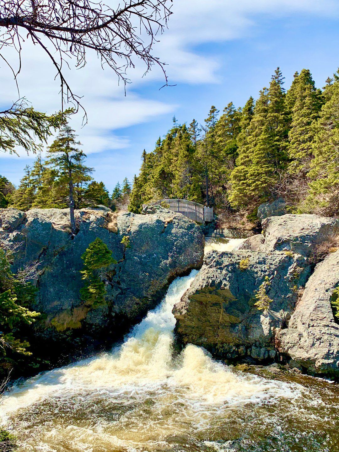 Mountain river photo spot 64–98 Hickey's Lane La Manche