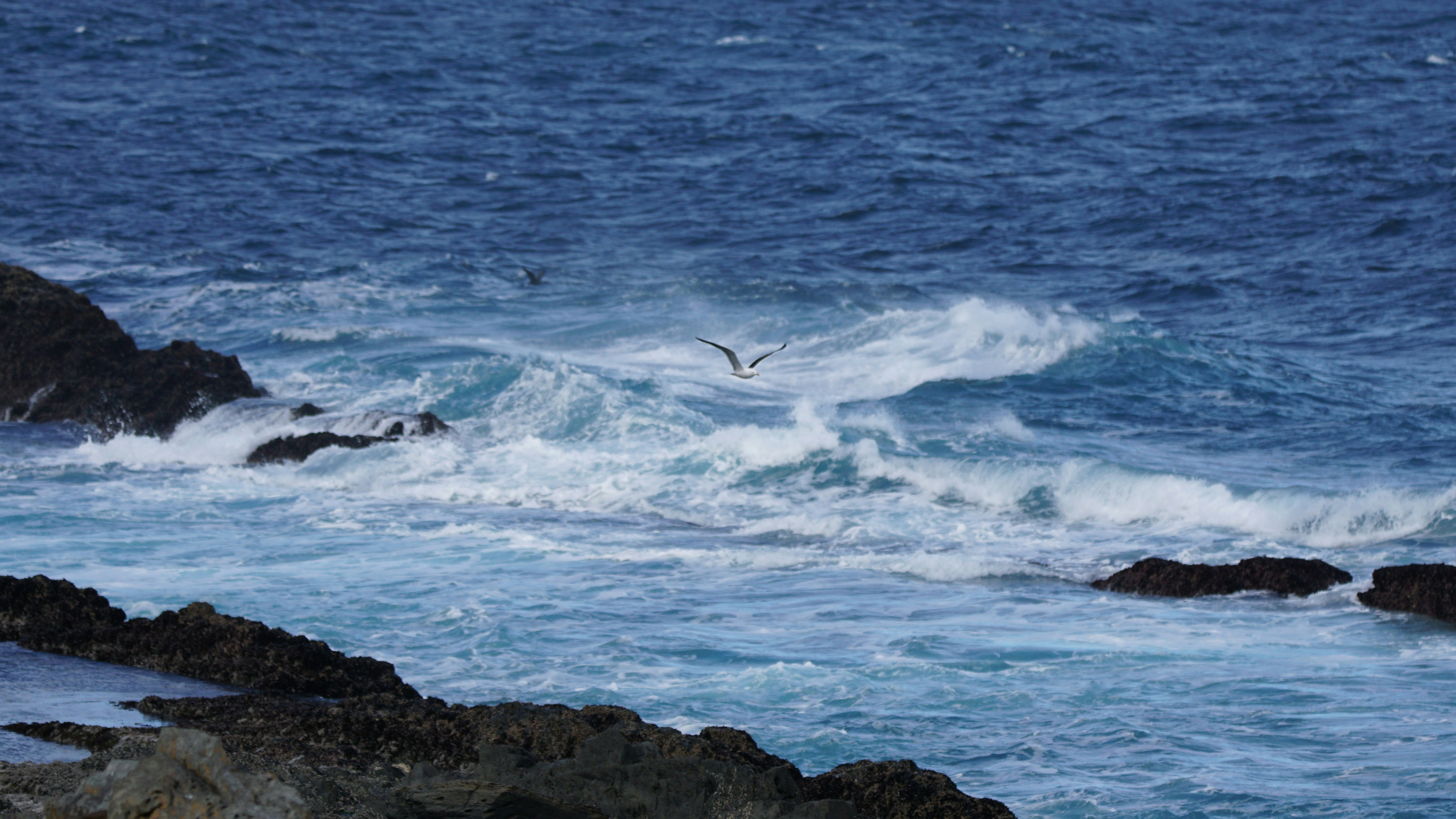 Photo by christian_linnemann