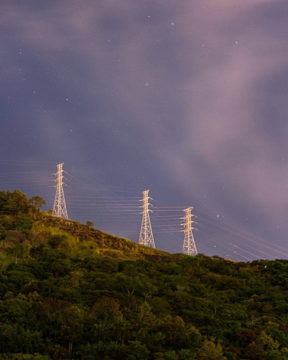 white steel bridge on top of green mountain during night time