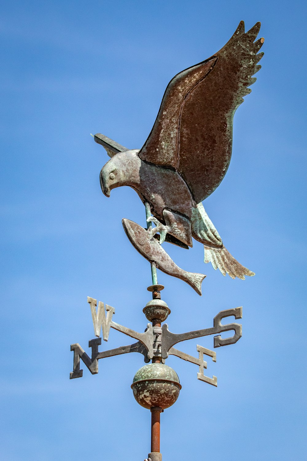 brown and white bird on brown metal stand