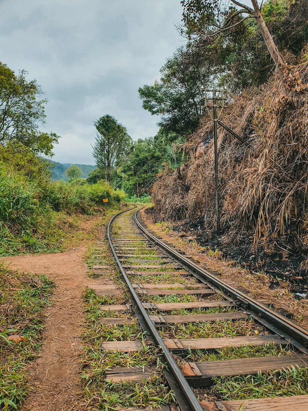 brown metal train rail near green trees during daytime