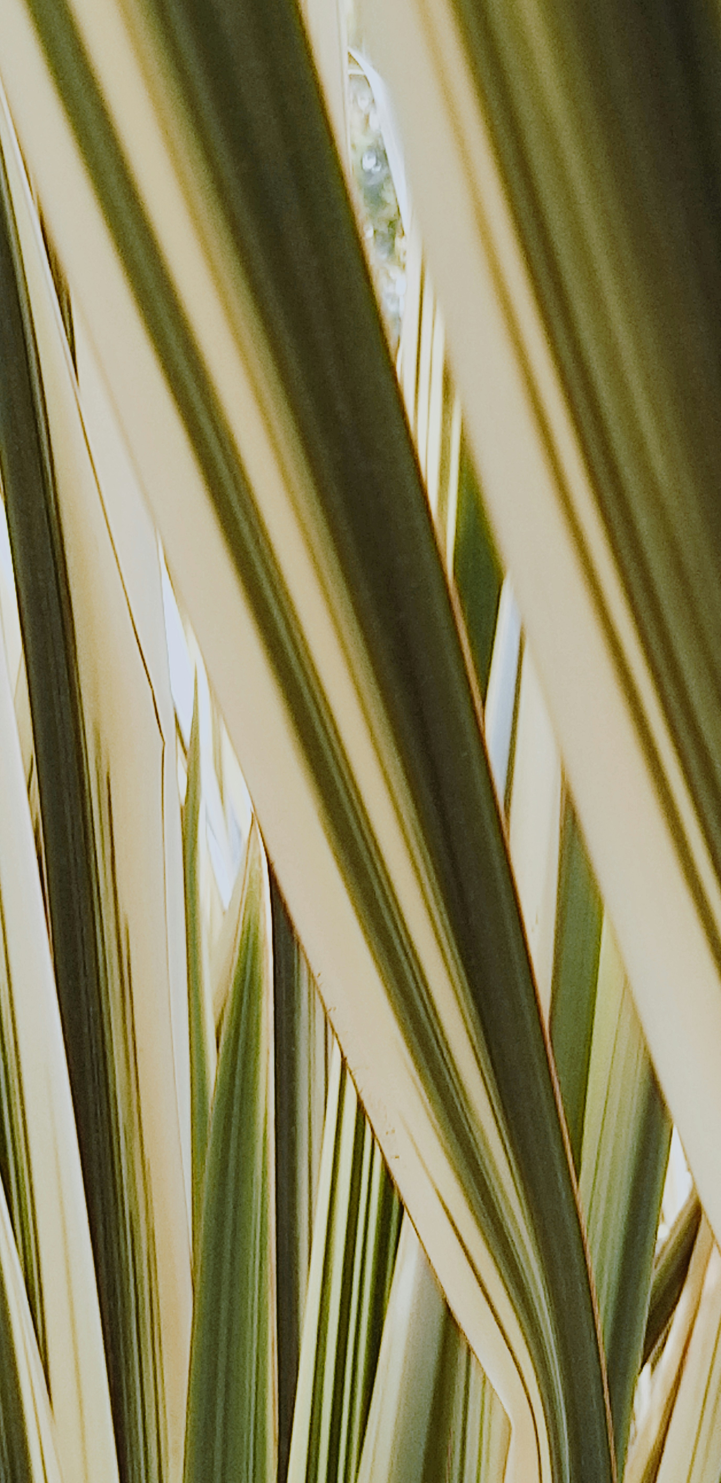 Photo by stephenmont